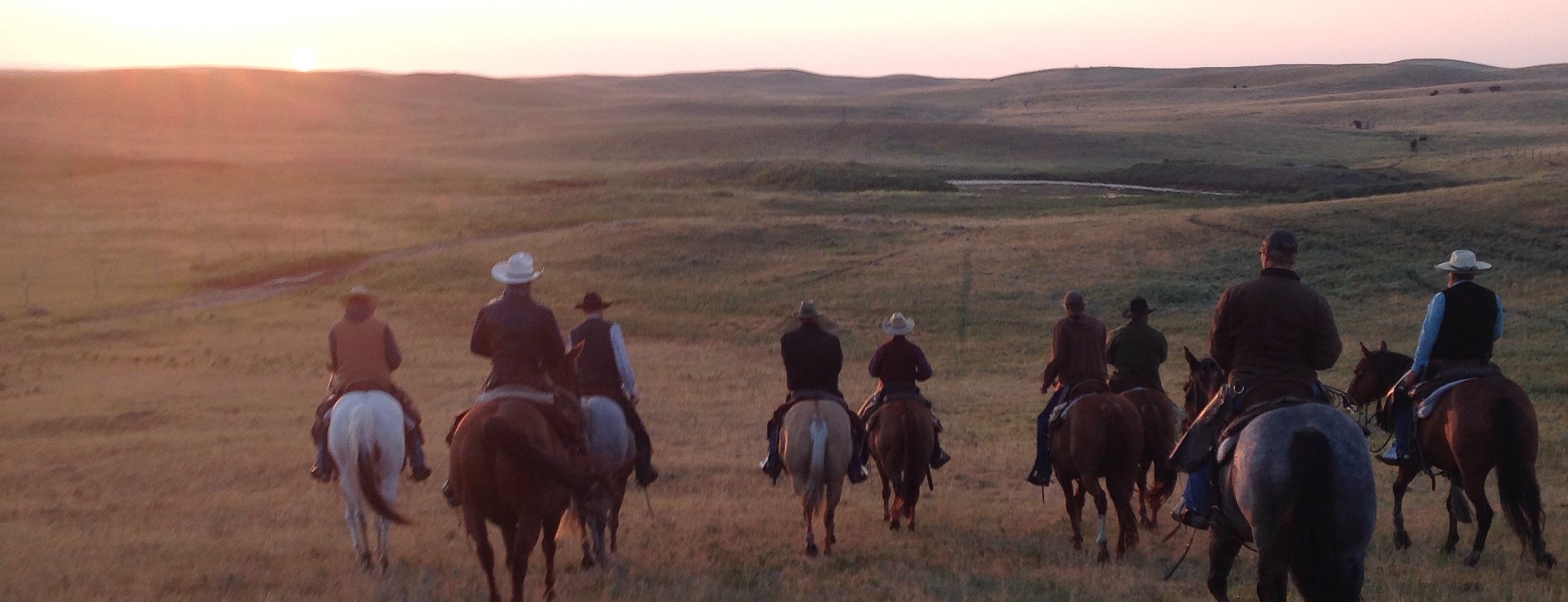 Become a Prairie Steward